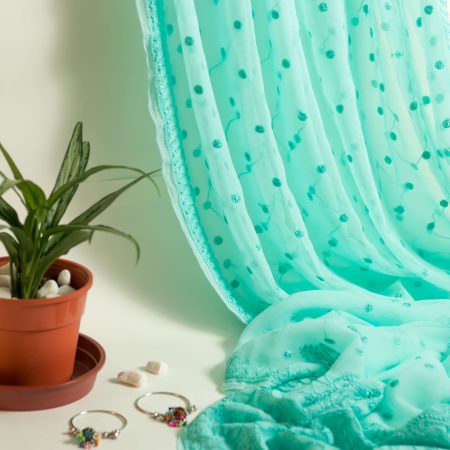 SIAZ LOOM - Pure Georgette Turquoise Blue Chikankari Saree